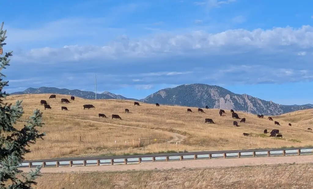 Open road through a Colorado landscape representing perspective, uncertainty, and self-awareness.